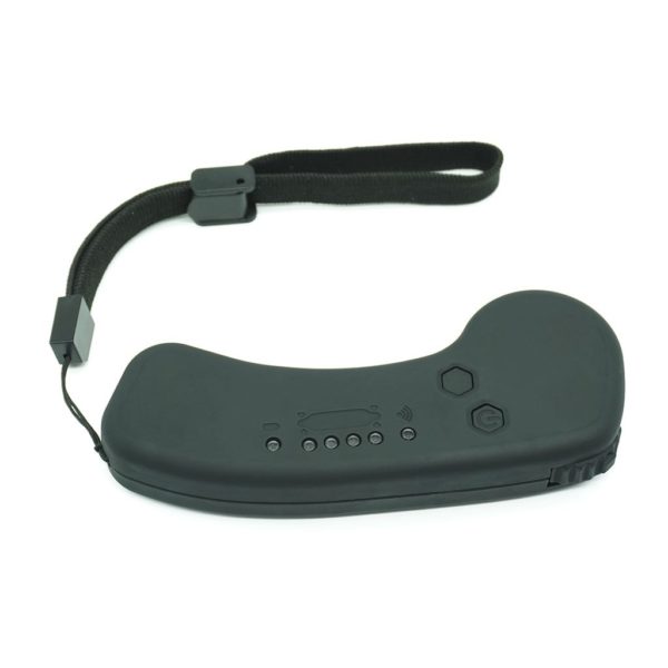 Flipsky Remote control - Image 2