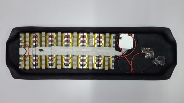 Rayne Demonseed 42" SS 21700 enclosure - Image 10